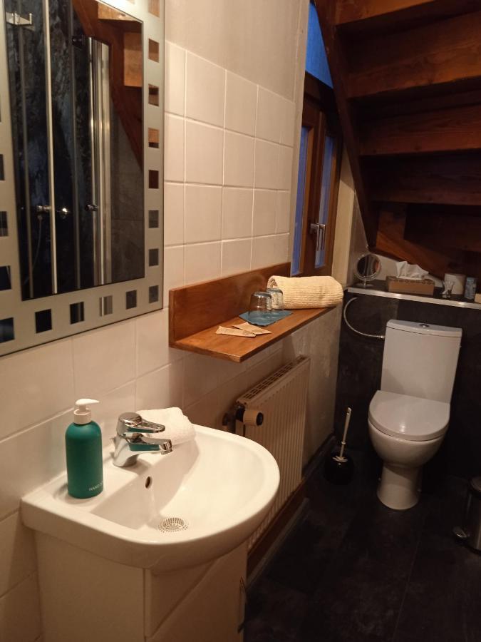 Zum Ginkgobaum 호텔 Stadtilm 외부 사진
